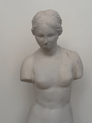 Plaster Torso of a Woman