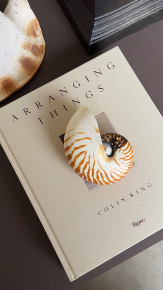 Vintage Nautilus Shell