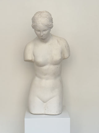 Plaster Torso of a Woman