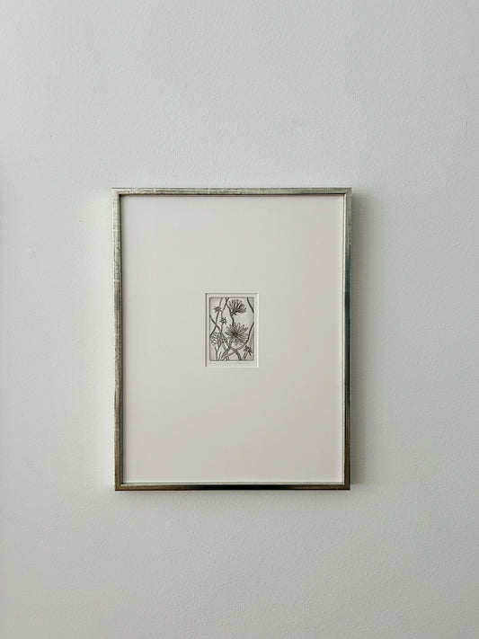 Study of Clematis, 1984 — Original Etching by Vilayne Hulné