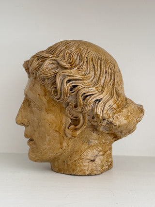 Classical Plaster Bust, circa 1950