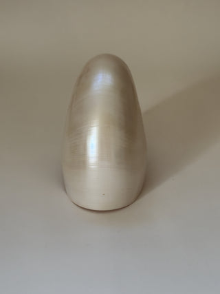 Large Vintage Nautilus Shell