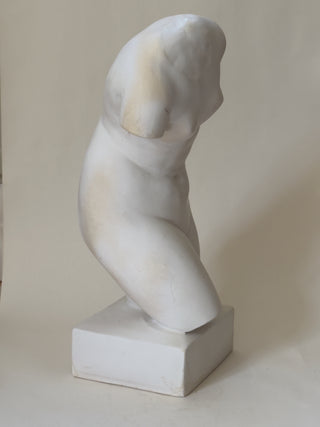 Plaster Torso of a Woman
