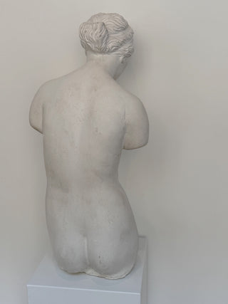 Plaster Torso of a Woman