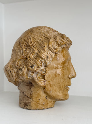 Classical Plaster Bust, circa 1950