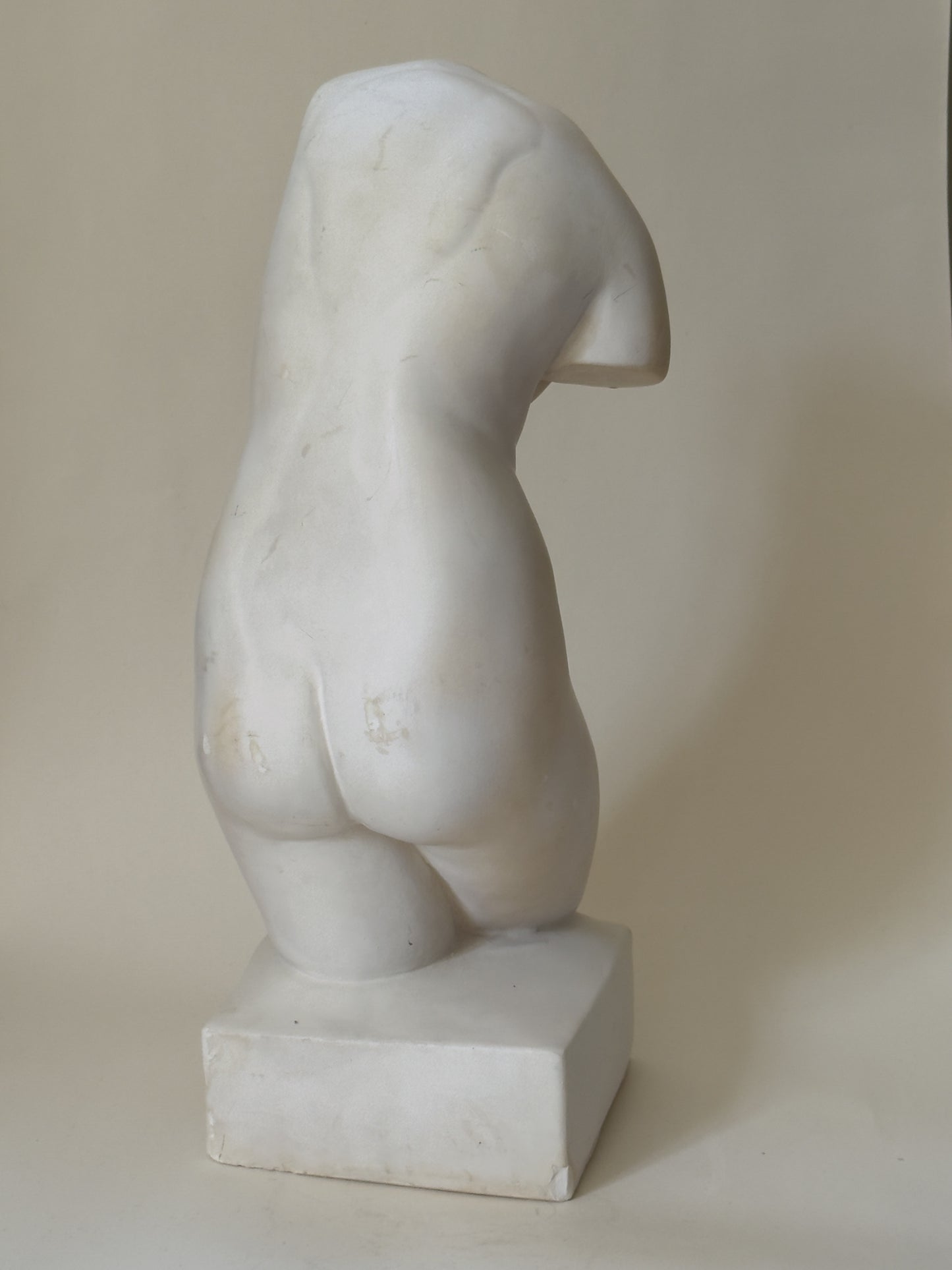 Plaster Torso of a Woman