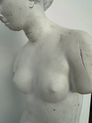 Plaster Torso of a Woman