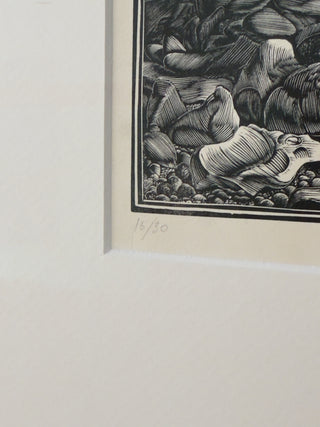 ”The Nautilus”, woodcut by Jean Chièze