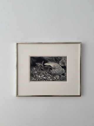 ”The Nautilus”, woodcut by Jean Chièze