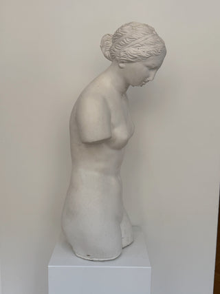Plaster Torso of a Woman