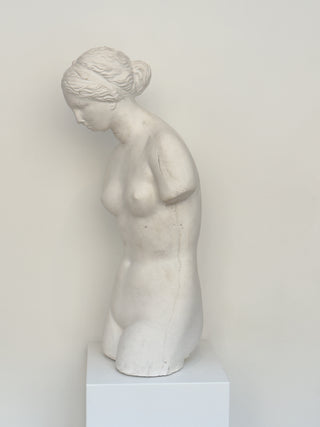 Plaster Torso of a Woman