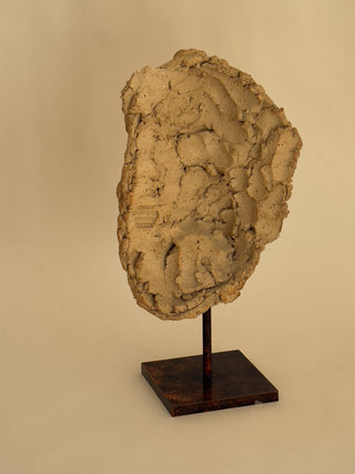 Draped Torso in Terracotta