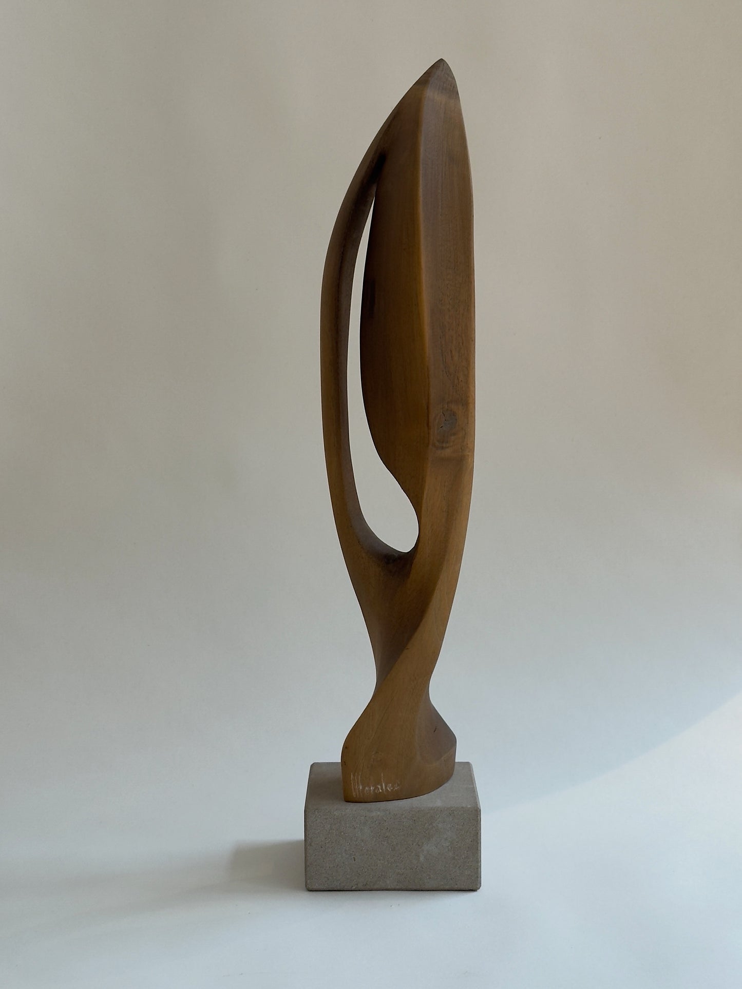 Organic Wooden Sculpture
