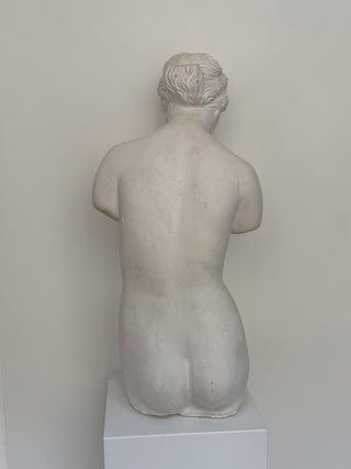 Plaster Torso of a Woman