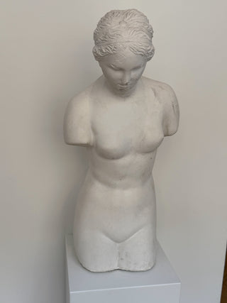 Plaster Torso of a Woman