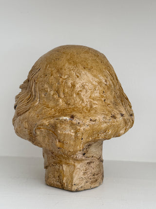 Classical Plaster Bust, circa 1950